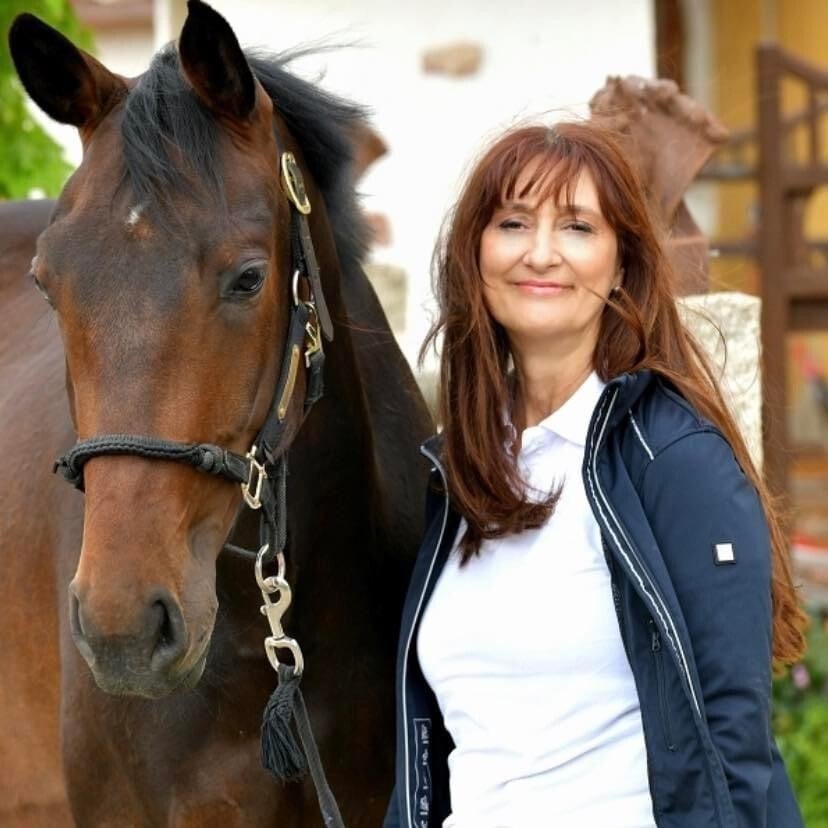 Sonja-Reisinger-Medizintechnik-Tierheilpraxis-Rehakonzepte-Tiere-Pferde