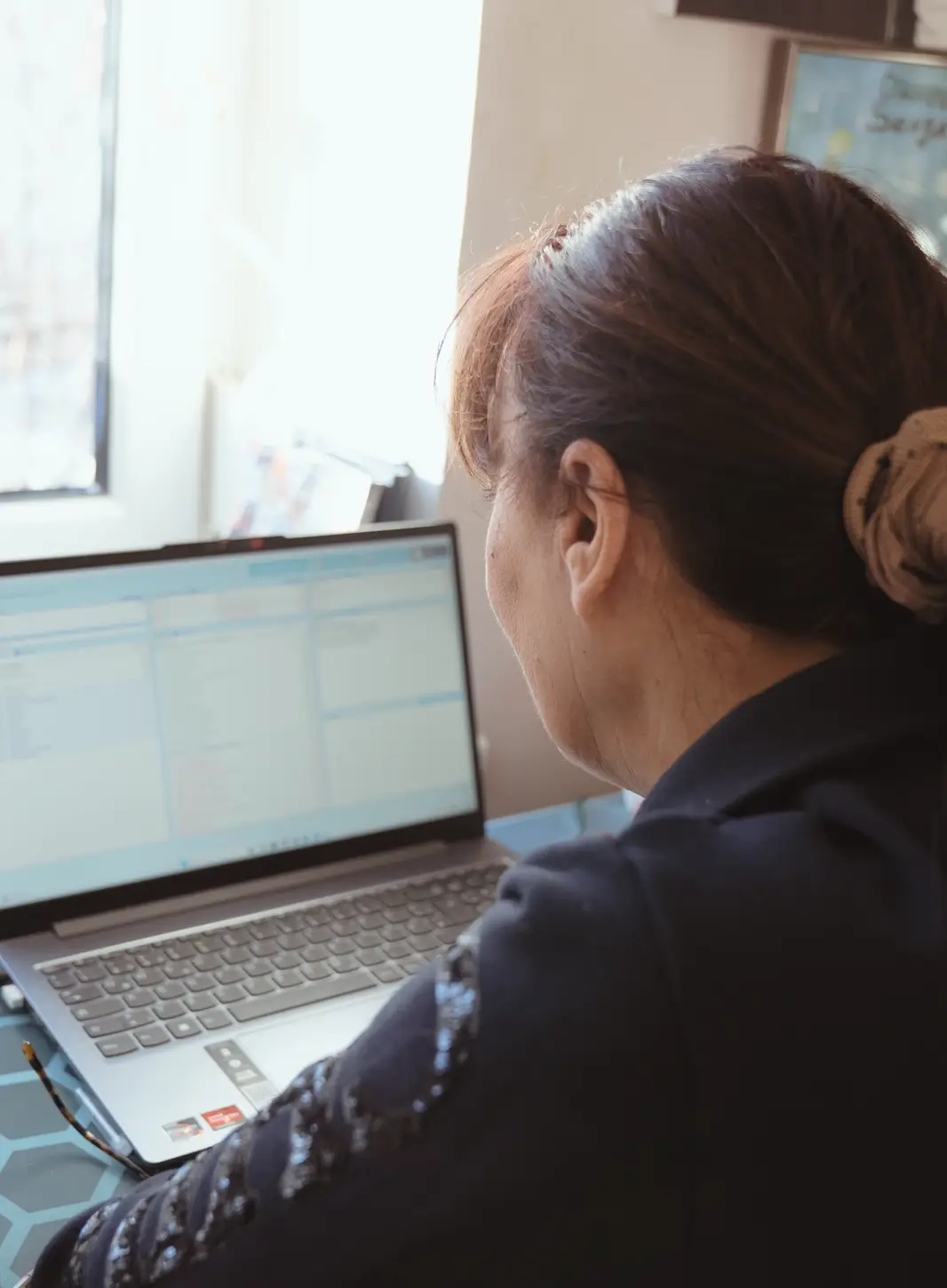 Sonja-Reisinger-Medizintechnik-Tierheilpraxis-Rehakonzepte-Tiere-Pferde-BiCOM-Analyse