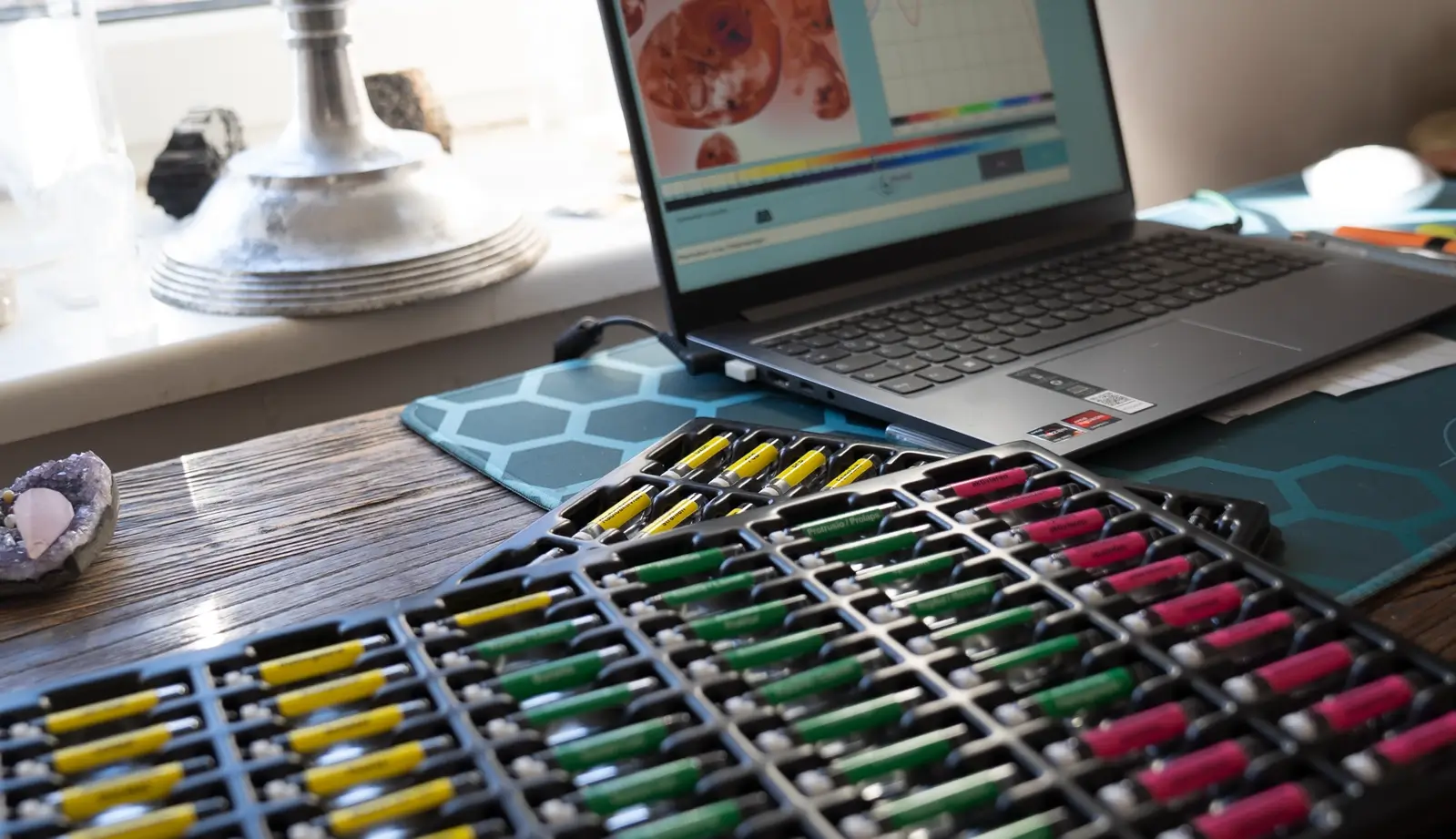 Sonja-Reisinger-Medizintechnik-Tierheilpraxis-Rehakonzepte-Tiere-Pferde-BiCOM-Analysebild